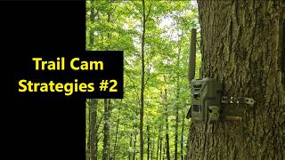 Trail Cam Strategies #2