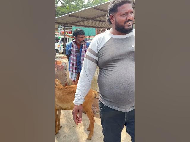 చిక్కెంటుకులకు సామాన్లు ఇస్తాం ఫ్రాంక్ #telugu #prank #viralvideo #funny #videos #comedy #videos