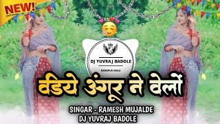 वाड़िये अंगूर ने वेलों - New Aadivasi Song !! Singar - Rakesh Dudwe !! Dj Yuvraj Badole 