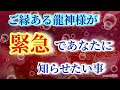 【あなたに届け】龍神様からの緊急メッセージをお繋ぎします🐉