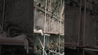 Tunnel Support Work | Drilling for Anchor #hydropower #civilengineer #dam #mohmanddam #cofferdam