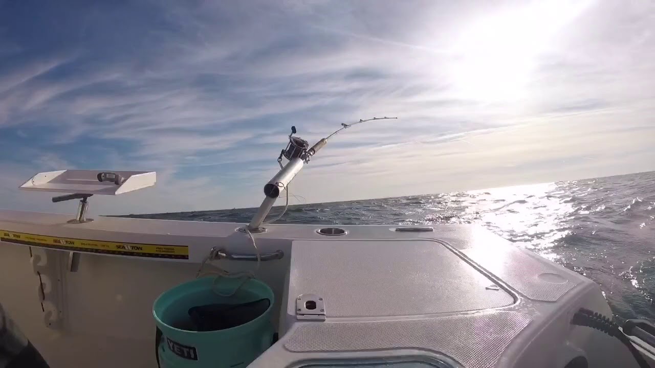 Striped Bass Fishing Long Island Fire Island Inlet