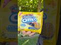 Blueberry Pie Oreo Review – Worth the Hype or Overrated? 🍪