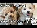amazonで買える！最新おすすめ犬グッズ7選！2021年秋Ver.【犬用品】