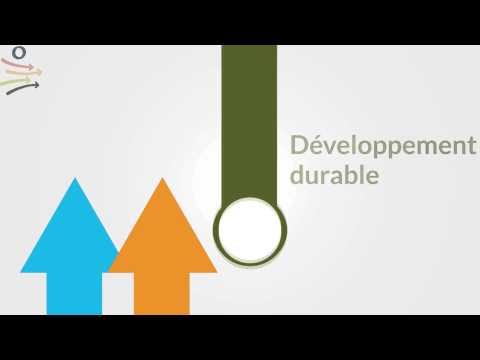 Vidéo: Qu'est-ce que développer un partenariat mondial pour le développement ?