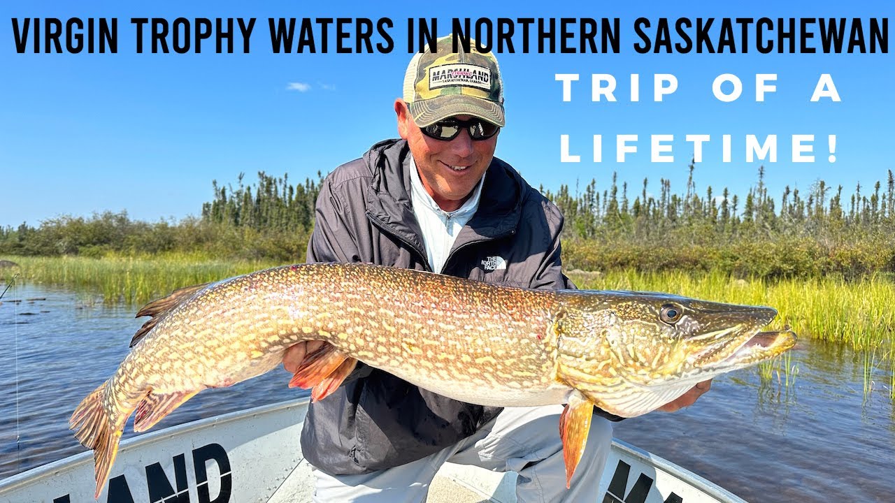 Virgin Trophy Waters In Northern Saskatchewan   Trip Of A Lifetime