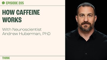 What Caffeine Does to Your Body with Dr Andrew Huberman | The Proof Podcast EP 205