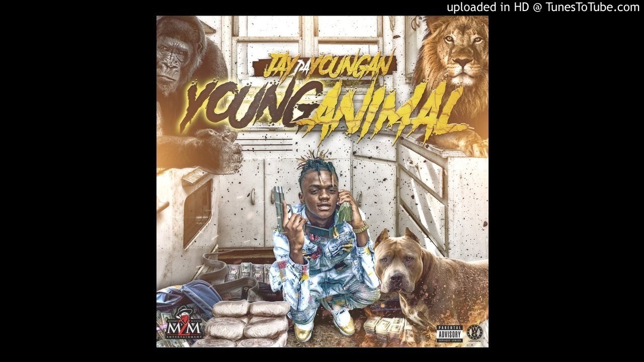 [FREE] "Dummy" - JayDaYoungan x Fg Famous Type Beat | prod. madk3y