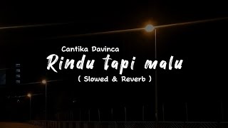 RINDU TAPI MALU - Cantika Davinca ( Slowed & Reverb )