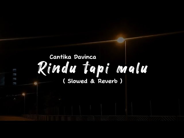 RINDU TAPI MALU - Cantika Davinca ( Slowed u0026 Reverb ) class=