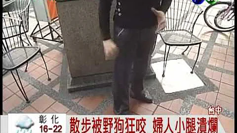 流浪狗乱咬人! 全台已经发生多起 - 天天要闻