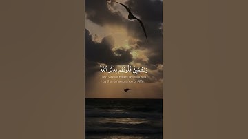 " الا بذكر الله تطمئن القلوب " تلاوه هادئه ومريحه للقلب ✨💙 | القارئ عبدالرحمن مسعد 🥀💛
