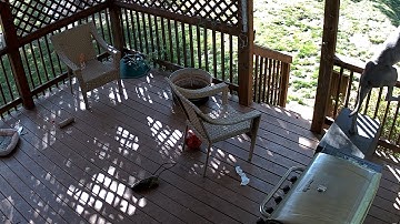 Reolink Captures: I Thought I Could