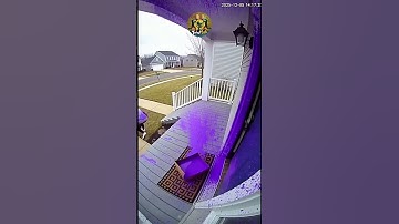 AlienCam #7 — Alien NOT Happy 💥👽