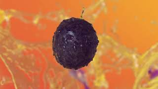 FRUIT BLAST screenshot 5