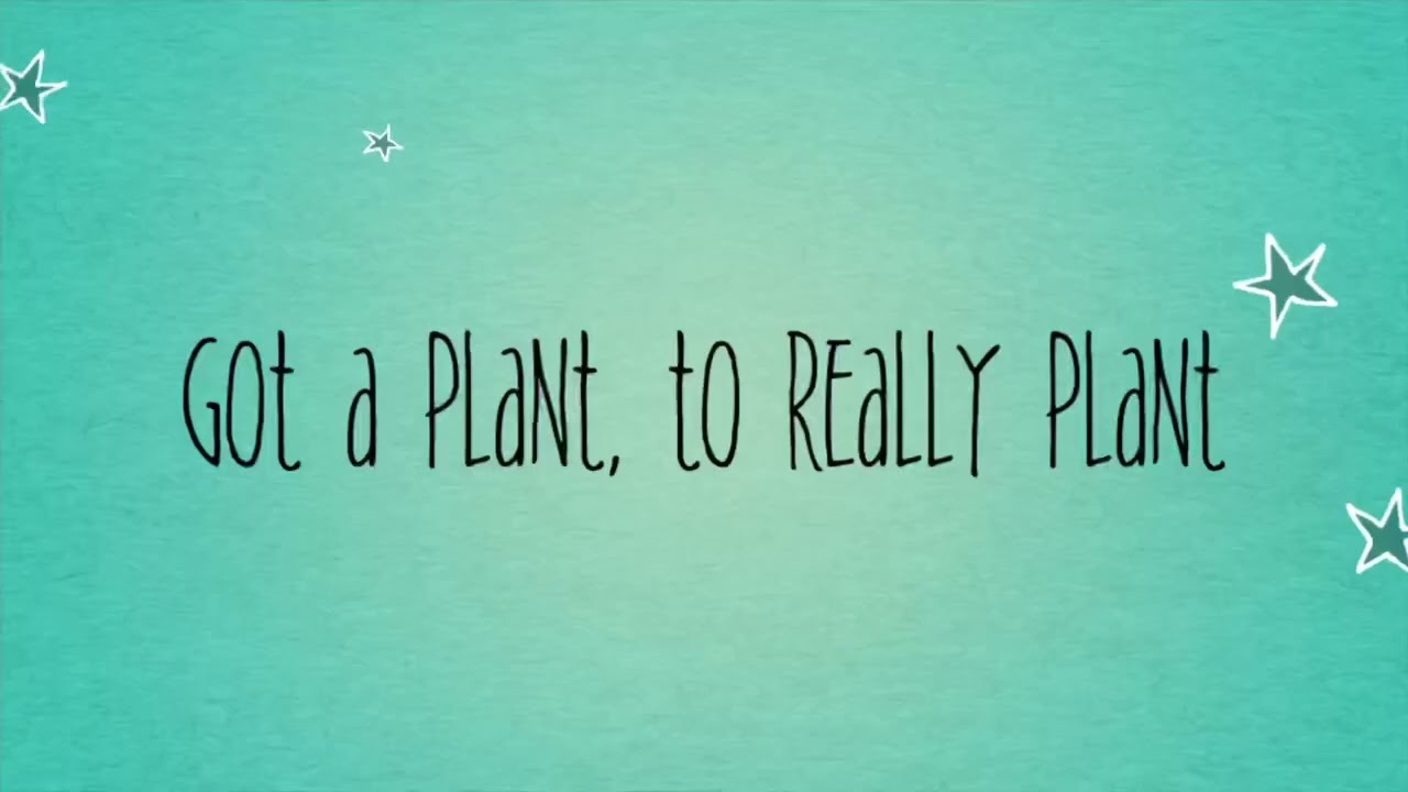 Lowe’s Shopping Service Trailer