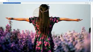 HTML Hyperlink & Image Click Link 🔥 | HSC ICT Web Design Bangla