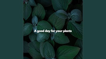 Background for Brave Keynotes