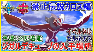 ポケモン 色イベルタル