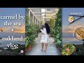 carmel by the sea &amp; oakland vlog! beach days, airbnb tour, skincare, thrifting