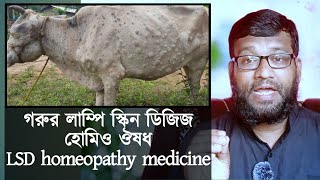 গরুর লাম্পি স্কিন ডিজিজ ও এর হোমিওপ্যাথি ঔষধ | LSD homeopathy medicine