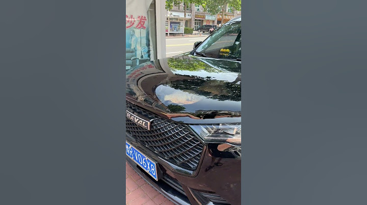 Fish in the car || fake fish