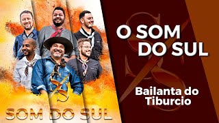 Video thumbnail of "Grupo Som do Sul - Bailanta do Tiburcio"