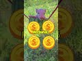 Educação Financeira Infantil com Porquinhos 🐷💰 | EP.5 #cute #viral #shorts #shortsviral #shortsfeed