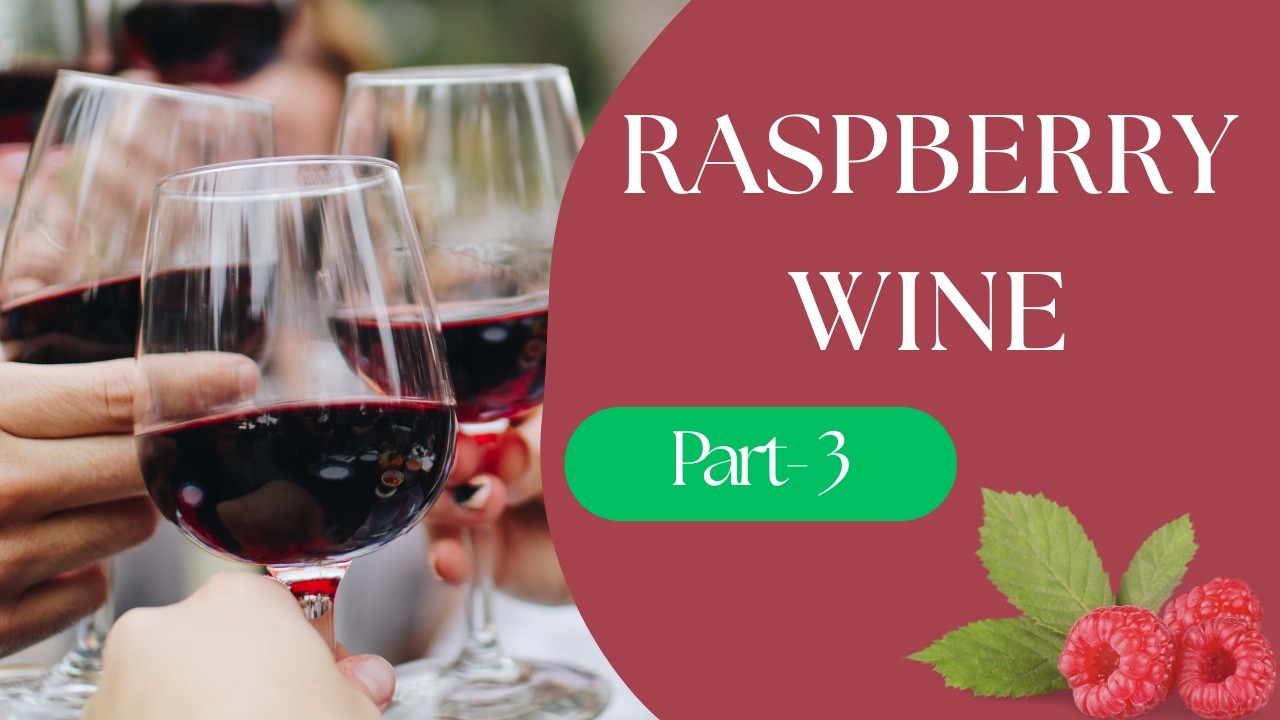 Raspberry Wine Recipe | Part 3 - YouTube