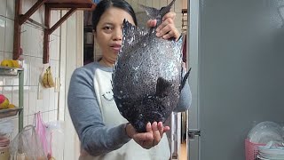 Grogi Masak Ikan Harga Jutaan‼️ Hanya di Sini Aku Bisa Makan Ikan Yang Termurah Sampai Yang Termahal