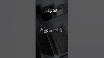 #سورة_يوسف #اسلام_صبحي #لايك #اكسبلور #قرآن #راحة_نفسية