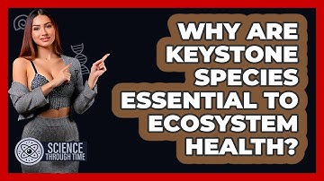 Why Are Keystone Species Essential To Ecosystem Health? - Science Through Time