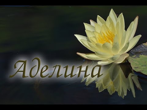 "АДЕЛИНА" стихи Анастасия Одесса