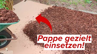 Wie Dir Pappe Gegen Unkraut Helfen Kann Gewusst Wie