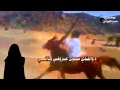 شيله حسبي عليك علي العشير المري 