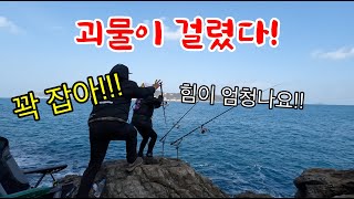 한 마리에 수십만원? 껍질부터 내장까지 모두 최고급 술안주라는 이 녀석! 직접 잡아 부위별로 다 먹자