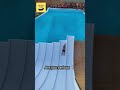 funny videos of the world 33 #shorts #funny #meme
