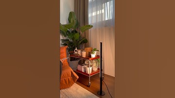 How to Set Up Barrina T10 Grow Lights for Tall Plants