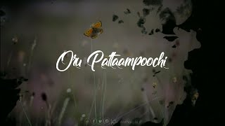Veesi Pona Puyalil | Album Song | Tamil WhatsApp Status | Vijay | Chinnathambi P