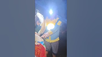 Cá Chê Phi Quá To ! #DanhBat#Ca#SongSuoi