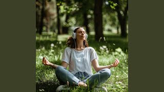 Silent Calm Echo Vibe