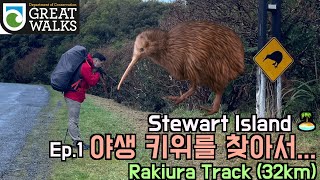 야생 키위를 찾아서 Ep.1 / Stewart Island / Rakiura Track (32km) / Great walks / 스튜어트아일랜드