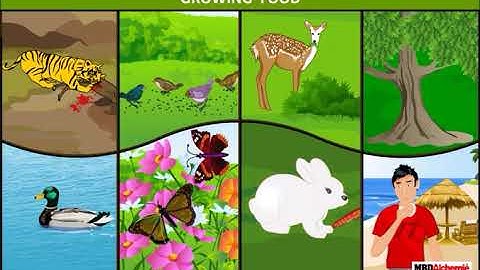 A Seed Tells a Farmer’s Story | Growing of Food | EVS | Class 5