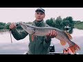 НЕРЕАЛЬНОЕ КОЛИЧЕСТВО РЫБЫ. Рыбалка в глухой Тайге 2019  | Рыбалка с Fishingsib