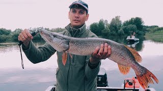 НЕРЕАЛЬНОЕ КОЛИЧЕСТВО РЫБЫ. Рыбалка в глухой Тайге 2019  | Рыбалка с Fishingsib