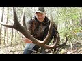 Big Red Stag Antler find. Shed hunting, Ztrzuty 2021