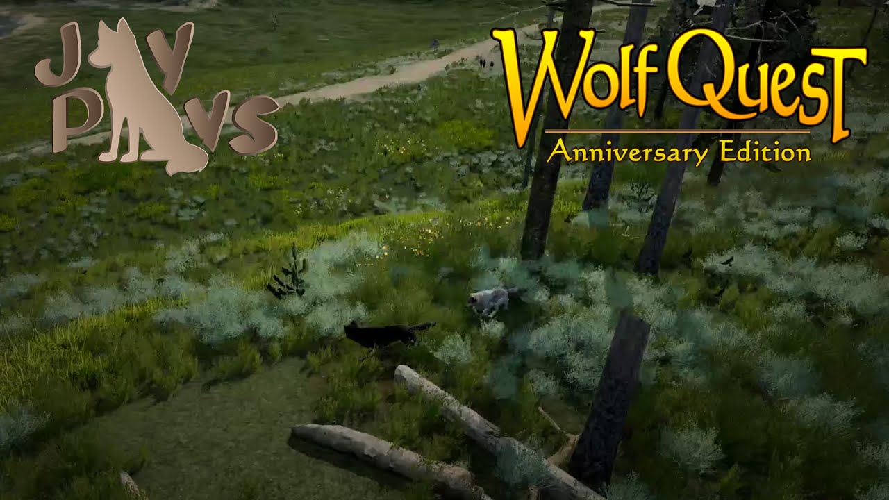 Perilous Last Steps! | WolfQuest: Puma's Quest #10