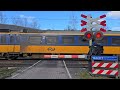 Spoorwegovergang Radio Kootwijk // Dutch Railroad Crossing 🛤 