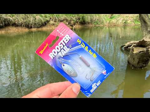 New SUPER ROOSTERTAIL! BFS Creek Wading
