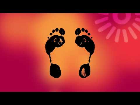 The Yalla Yallas Morning Sun 